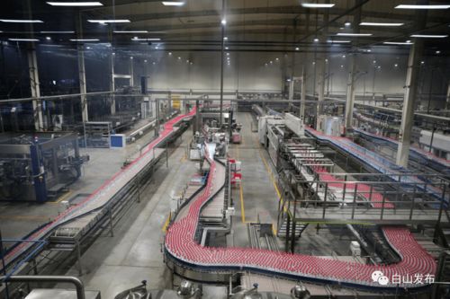 優(yōu)化營(yíng)商環(huán)境助力企業(yè)發(fā)展 臨江市礦泉飲品產(chǎn)業(yè)動(dòng)能強(qiáng)勁與技術(shù)推廣服務(wù)